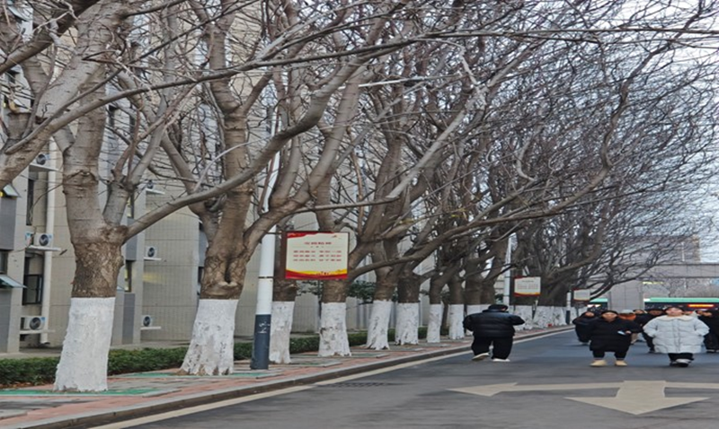 图片 2.png 图片 2.png